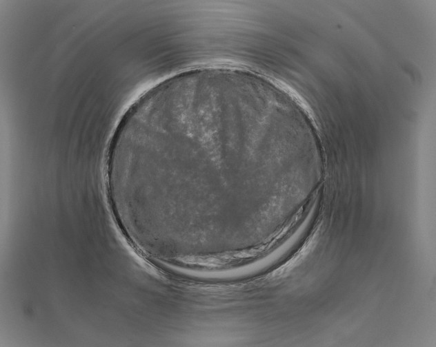 X0000110320989200906111449