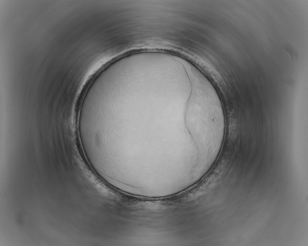 X0000110320990200906111449