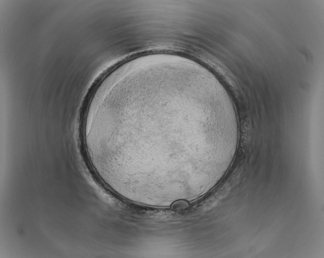 X0000110320991200906111449