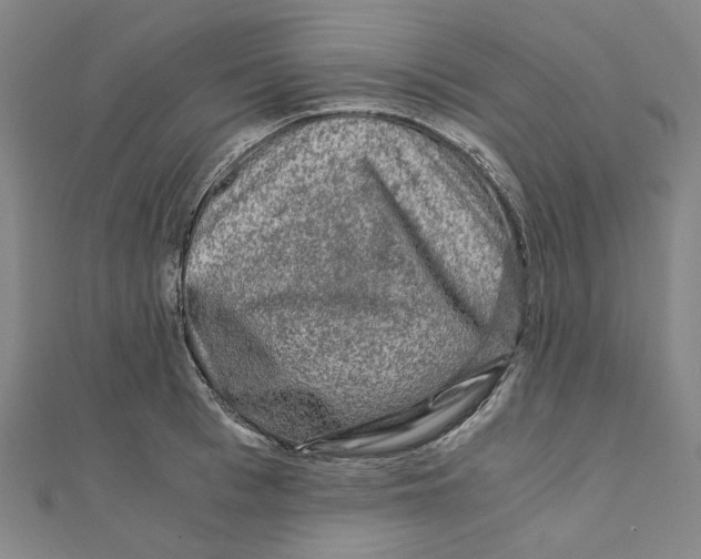 X0000110320993200906111449