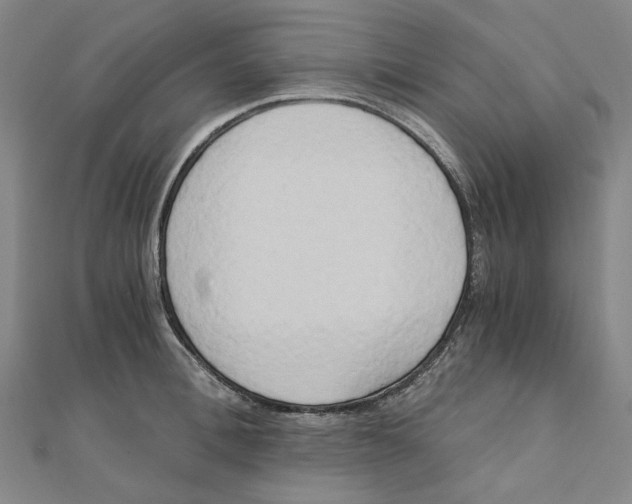 X0000110320996200906111449