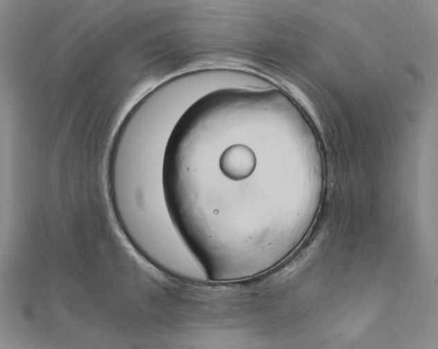 X0000110320997200906111449