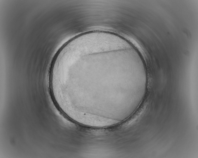 X0000110320999200906111449