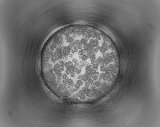 X0000110321000200906111449