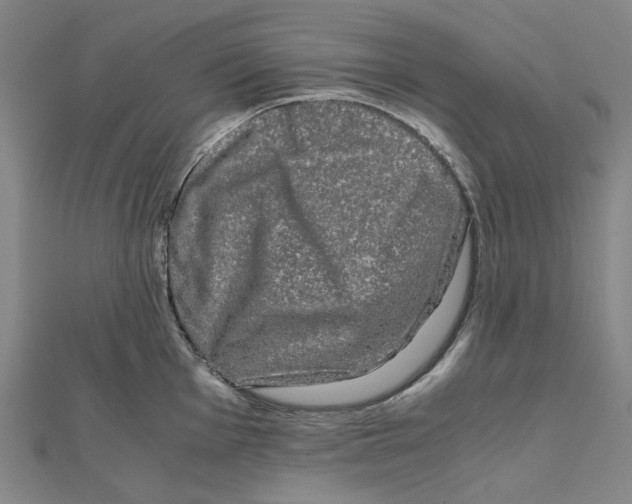 X0000110321001200906111449