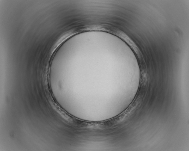 X0000110321002200906111449