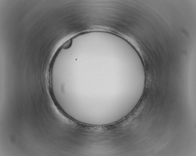 X0000110321003200906111449