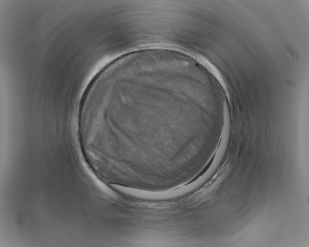 X0000110321005200906111449