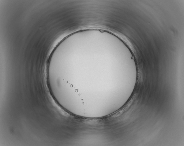 X0000110321006200906111449