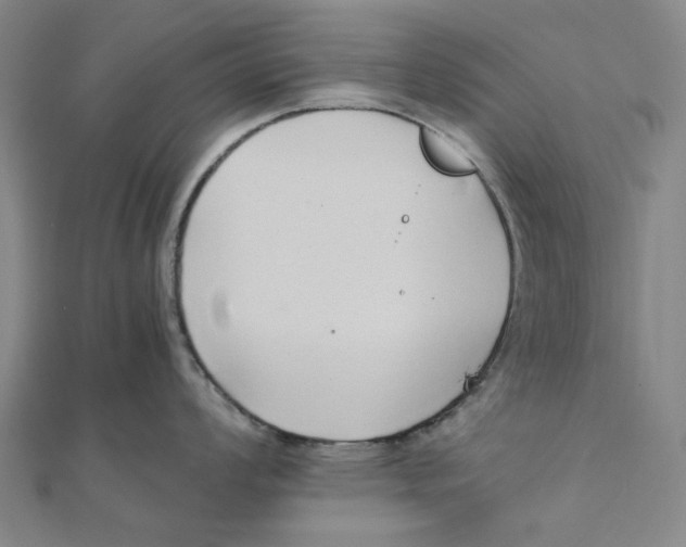 X0000110321008200906111449