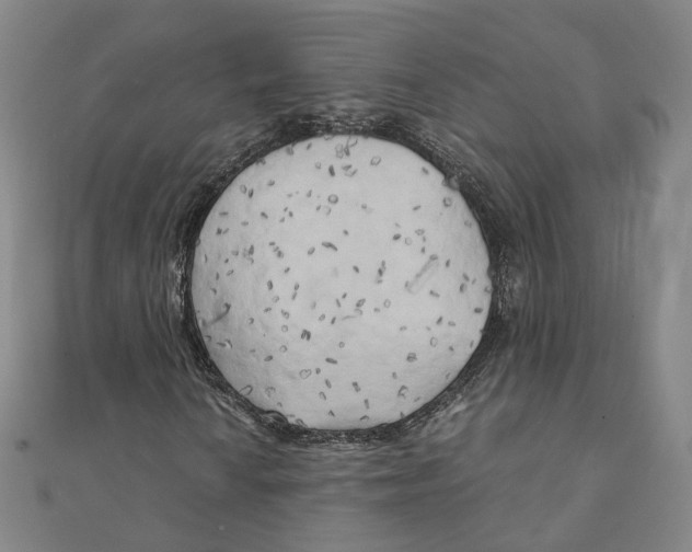 X0000110321010200906111448