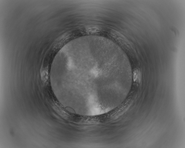 X0000110321011200906111448