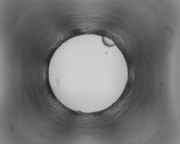 X0000110321012200906111448