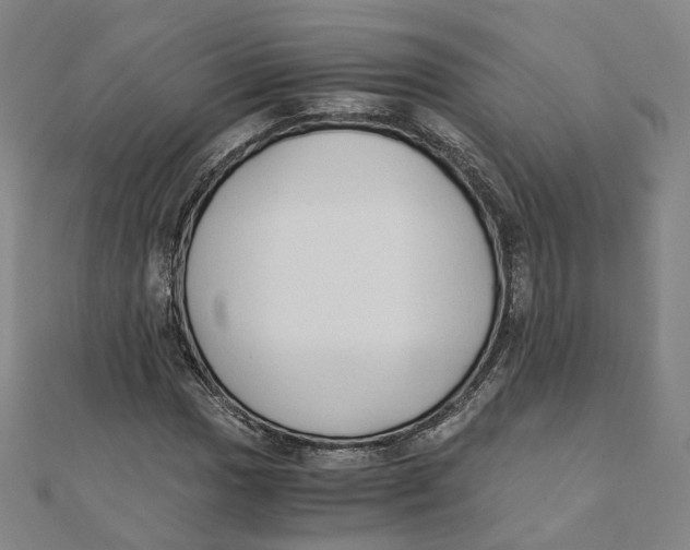 X0000110321017200906111448