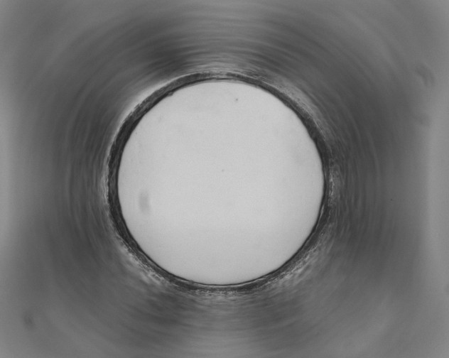 X0000110321020200906111448