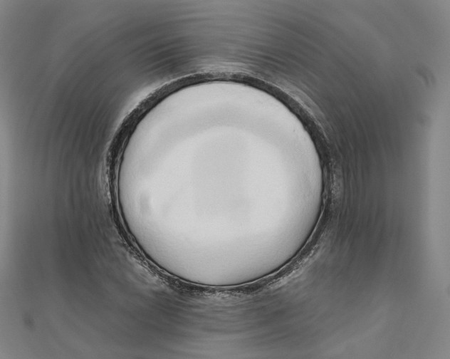 X0000110321022200906111448