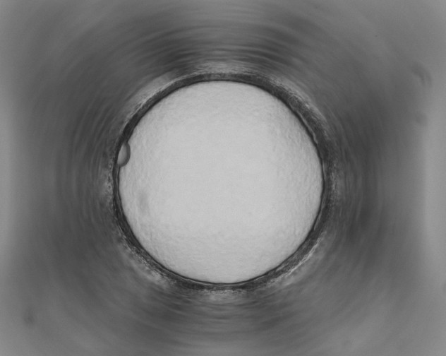 X0000110321025200906111448