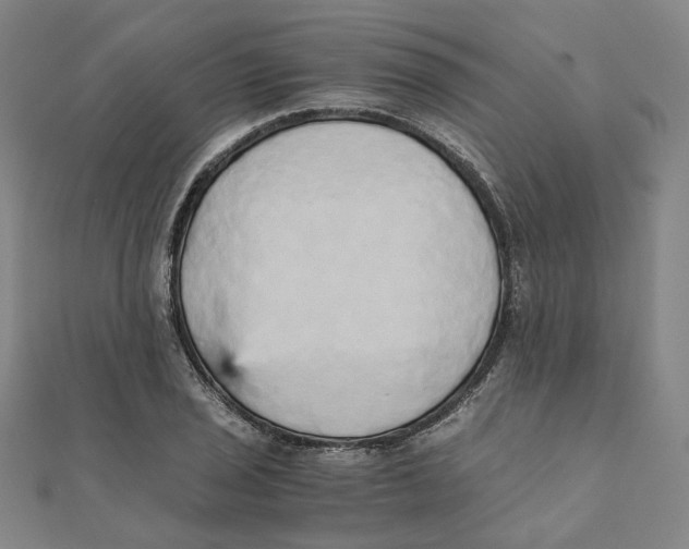 X0000110321029200906111448