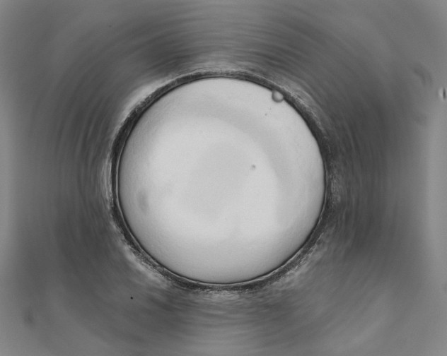 X0000110321030200906111448