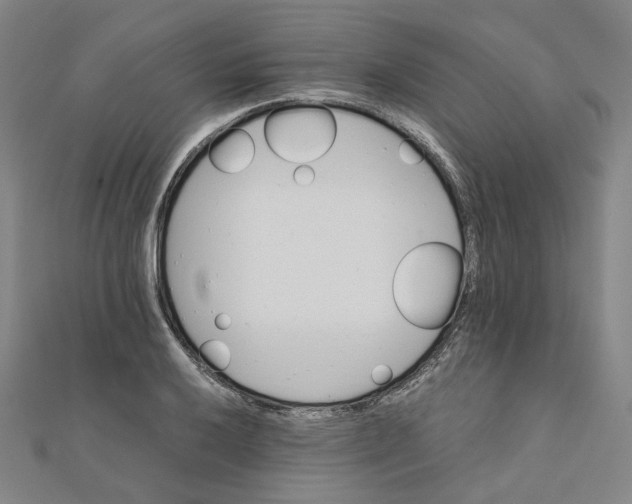 X0000110321032200906111448