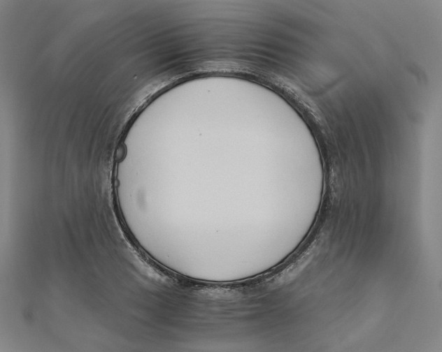 X0000110321033200906111448