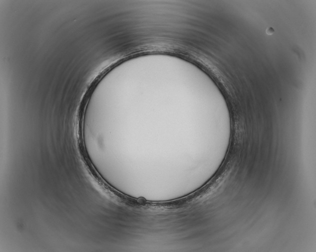 X0000110321034200906111448