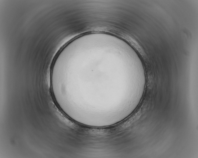 X0000110321036200906111448