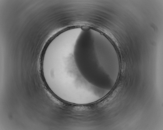 X0000110321037200906111448