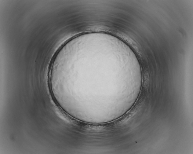 X0000110321039200906111448