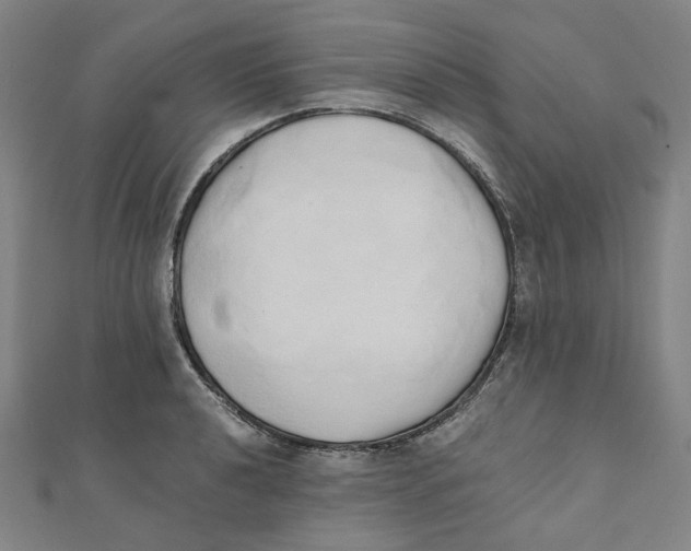 X0000110321040200906111448