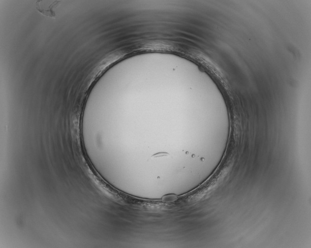 X0000110321041200906111448