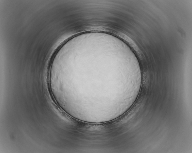 X0000110321043200906111448