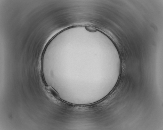 X0000110321044200906111448