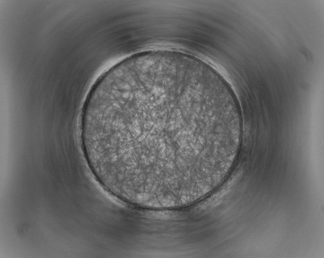 X0000110321045200906111448