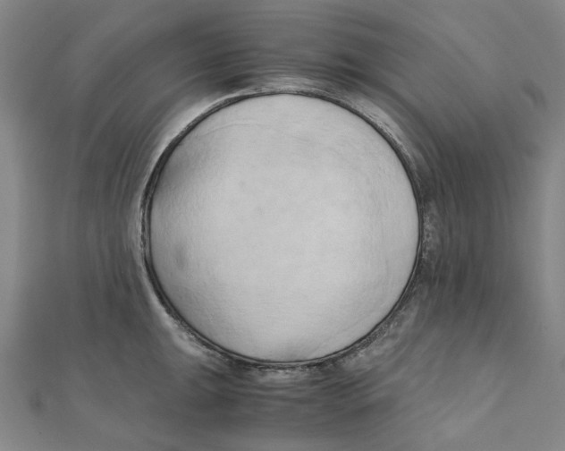 X0000110321047200906111448