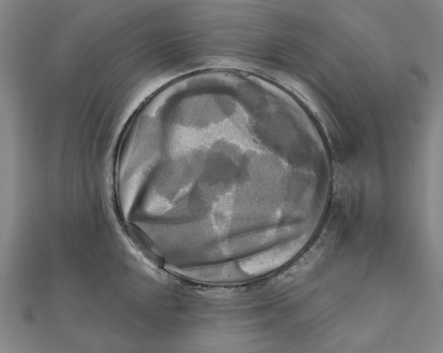 X0000110321048200906111448