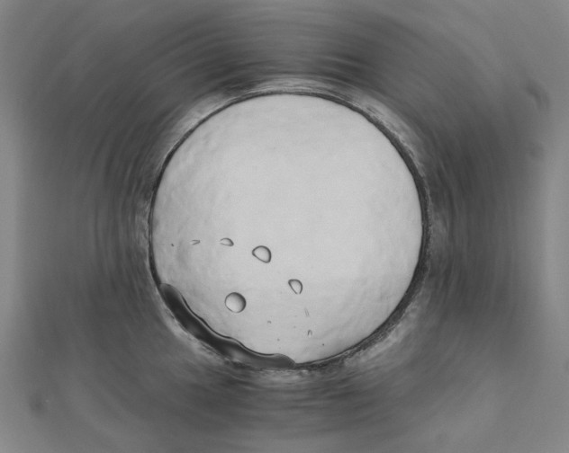 X0000110321049200906111448