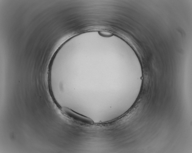 X0000110321050200906111448