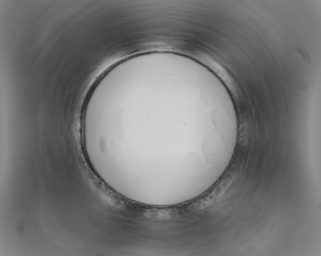 X0000110321051200906111448