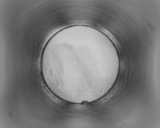 X0000110321052200906111448