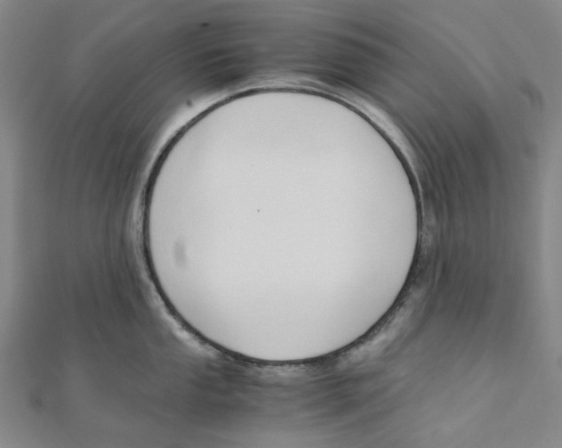 X0000110321053200906111449