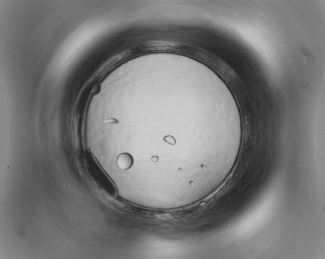 X0000110321054200906111449