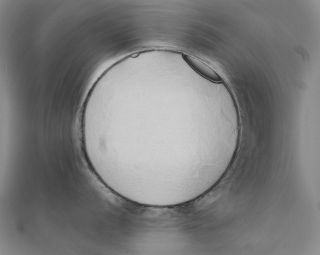 X0000110321056200906111449