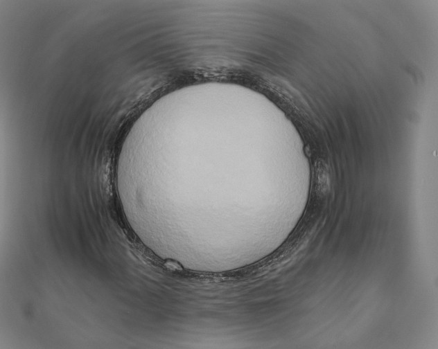 X0000110321060200906111448