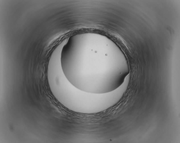 X0000110321064200906111448