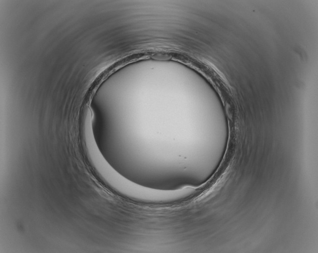 X0000110321065200906111448