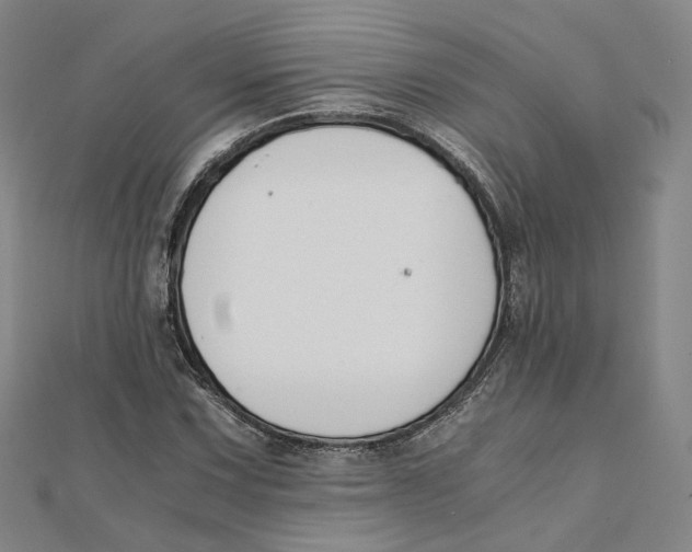 X0000110321067200906111448