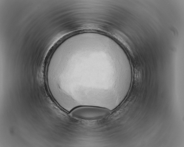 X0000110321068200906111448