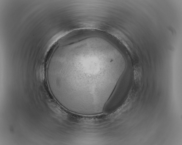 X0000110321069200906111448