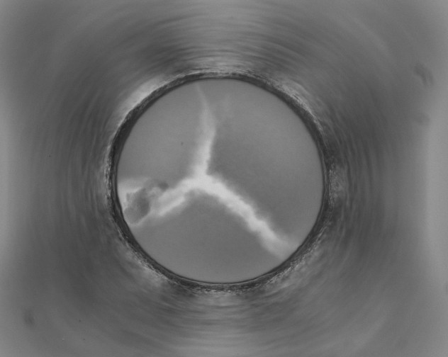 X0000110321071200906111448